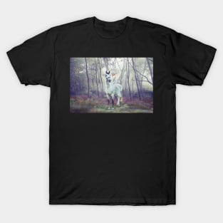 FOGGY T-Shirt